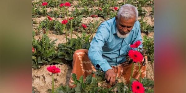 গদখালীর ফুল চাষের জনক শের আলী সরদার আর নেই
